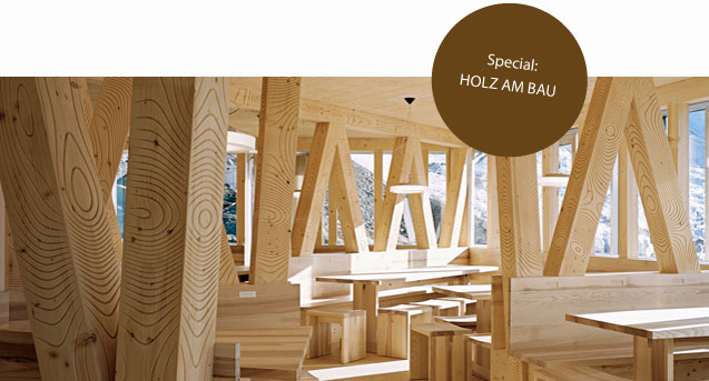 Holz am Bau / BauNetzWOCHE #253