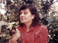 Lina Bo Bardi, 1960 