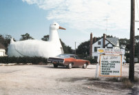 The Big Duck, Geschft in Form einer Ente, Long Island, Flanders, New York, um 1970  Venturi, Scott Brown and Associates, Inc., Philadelphia