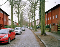 In der Waldsiedlung in Zehlendorf, Foto: Martin Zellerhoff 