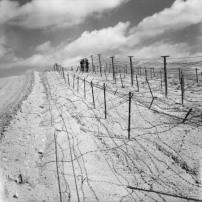 Grenzbefestigungen der Ligne Morice zwischen Algerien und Tunesien, Oktober 1959  
