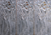 Das Betonrelief „PuddleScape“ ist Teil einer Studentenarbeit von Delia Kulukundis aus dem Studio ParadoXcity an der University of Virginia. Sie zelebriert das Thema der Pfütze als Element, in dem das Wasser langsam von der Oberfläche verdunstet.  