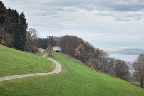 Die neue Pfadfinder- und Wanderunterkunft befindet sich an einem Hang bei Horgen am Zürichsee.  