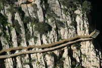Spektakulr wurde der neu angelegte Steig ber weite Strecken an die steil abfallenden Wnde der tiefen Gaitanes-Schlucht gebaut.