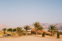 Sanddüne unter Palmen: Das Clubhaus für Jordaniens ersten Golfplatz auf Rasen. 