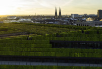 Der grüne Monolith prägt nun auch die Düsseldorfer Skyline. 