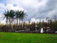 Palmen in einem der zahlreichen Themengärten vor Marzahner Hochhauskulisse, 2017