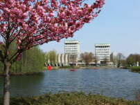 Blick ber den City-See auf den Sitzungstrakt mit dem Betonfaltdach und auf die beiden, so genannten Dezernatstrme des Rathaus in Marl, geplant von den Niederlndern Van den Broek und Bakema. 