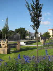 Hoyerswerda: neuer Skulpturengarten 2009 