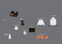 Projekt Hyner, Kreislauf, Textilien aus Hühnerfedern, Untersuchter Biokunststoff: Protein-Biokunststoffe 