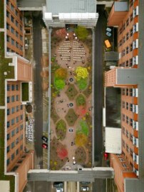 Der neue Dachgarten im Chemnitzer Wirkbauareal