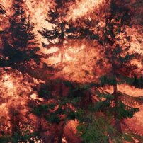 David Claerbout, Wildfire (meditation on fire), 2019–2020