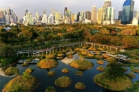 Der Benjakitti Forest Park in Bangkok wurde zur Landschaft des Jahres 2023 gekrt. 