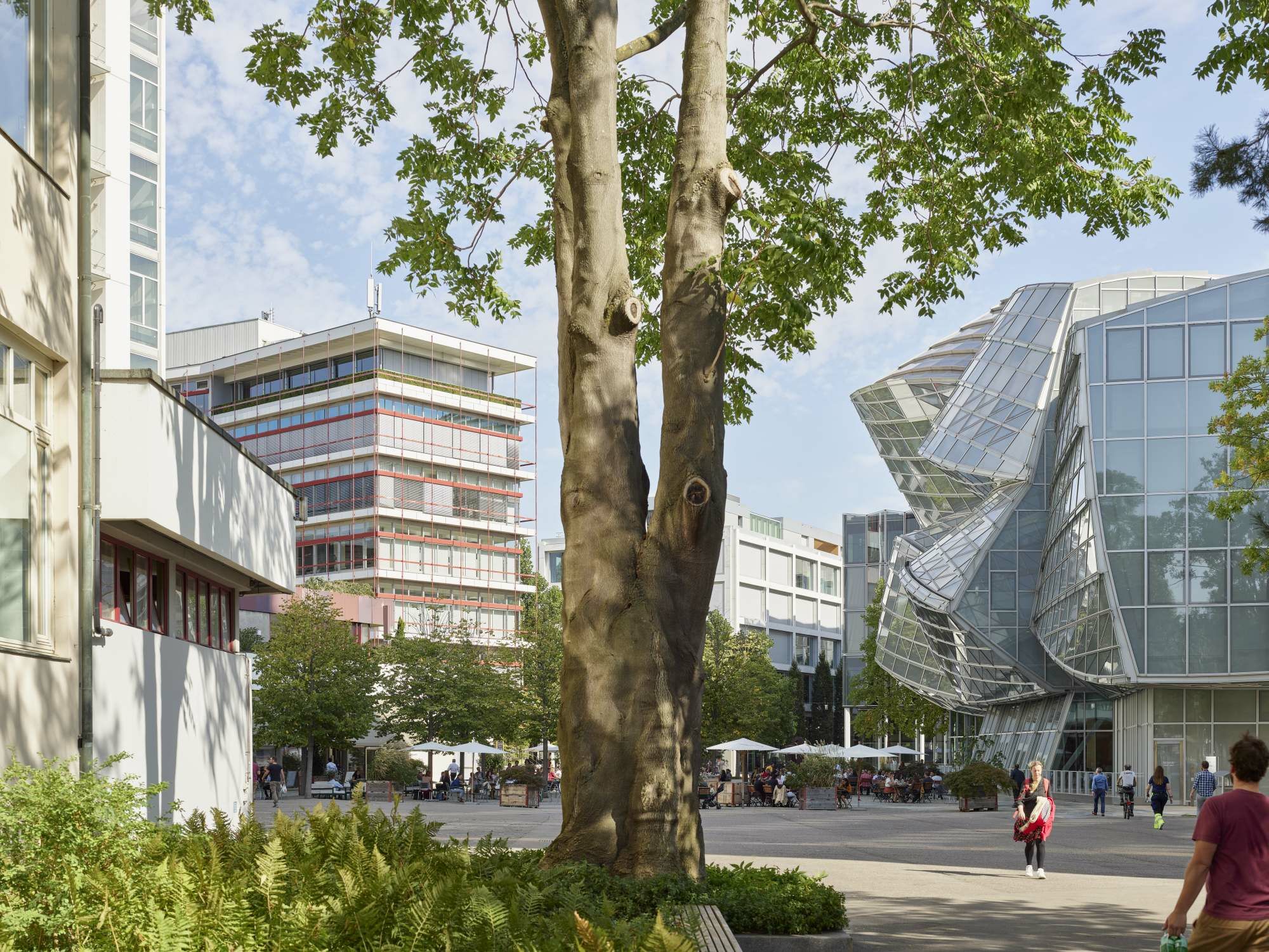 アート・デザイン・音楽 Vittorio Lampugnani: Novartis Campus アート