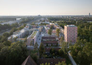 Die dichte Bebauung hebt sich kontrastreich von ihrer Umgebung ab.