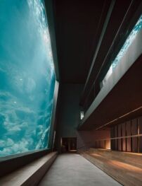 Das Groe Aquarium ist der umfangreichste Neubauteil des nun abgeschlossenen Projekts. Hinter der ber 50 (!) Zentimeter dicken Scheibe aus Acrylglas werden Fische und Korallen aus der Karibik gezeigt.