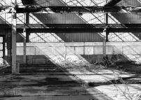 Eternitwerk von Ernst Neufert in Heidelberg-Leimen (195464), Zustand 2025