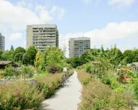 Wohnhochh�user Herkules & Apoll am Luitpoldpark, 1967/68