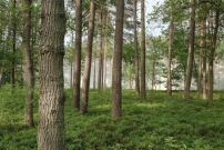 Aus der Ausstellung �Tools for Better Cities�: Projekt Dokumentationszentrum der Gedenkst�tte Bergen Belsen  