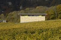 Weinbau Gantenbein, Flsch, 2008. Architekten: Bearth&Deplazes / Gramazio&Kohler.  