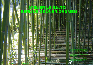 atelier le balto – Berlins grüner Daumen / BauNetzWOCHE #129