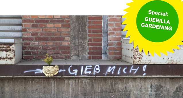Guerilla Gardening / BauNetzWOCHE #172