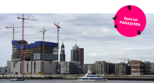 Parasiten / BauNetzWOCHE #177