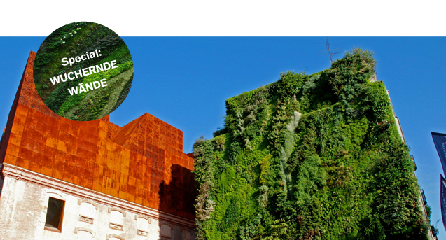 Wuchernde Wände / BauNetzWOCHE #179