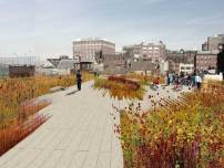 The High Line Park 