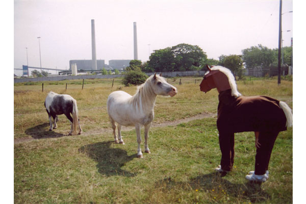 muf architecture / art: A HORSES TAIL Broadway Estate, Tilbury, 2003 - 2004